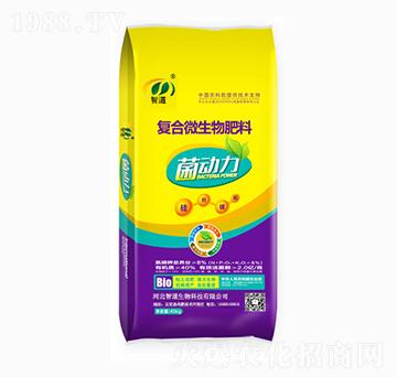 �ͺ�΢�������-������-�ǵ�