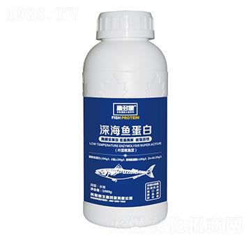 ��~����-ʩ�ཡ-�W˹�D����