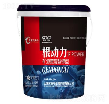 �VԴ�S�������-����(d��ng)��-ľ�~ʯ����