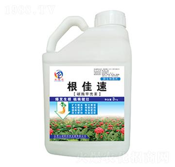 碳酶甲殼素-根佳速-七竣州