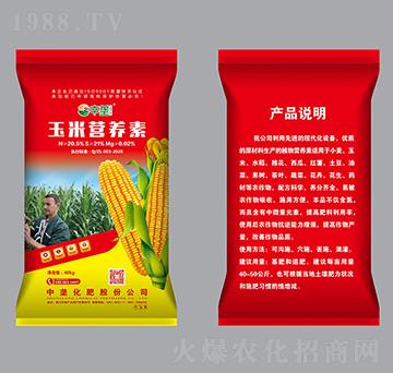 玉米營(yíng)養(yǎng)素（紅袋）-中壟
