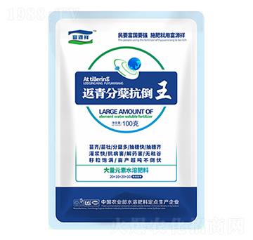 返青分蘗抗倒王-富源祥