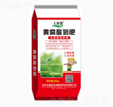 ���b�S���ᵪ��-���؄P����