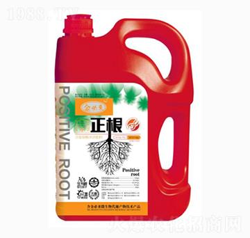 生根水溶肥料-正根-金必來(lái)