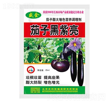 茄子黑紫亮-圣金肥業(yè)