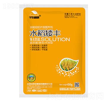 水稻控旺抗倒?fàn)I養(yǎng)劑-水稻矮豐-圣金肥業(yè)