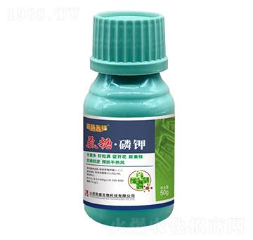 50g���ǡ����-̽·���h-�Pʢ�ʘI(y��)