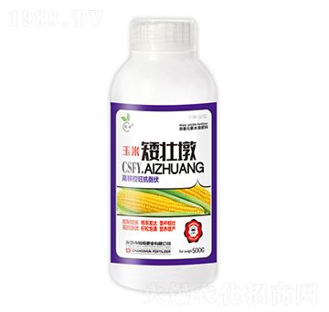 500g玉米矮壯墩-暢瞬