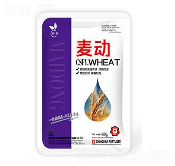 小麥專用含腐植酸水溶肥料-麥動(dòng)-暢瞬