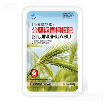 小麥分蘗返青柯杈肥-暢瞬