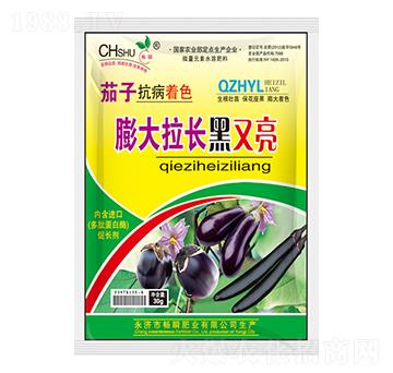 茄子膨大拉長(zhǎng)黑又亮-暢瞬