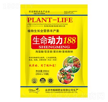 生命動(dòng)力188-暢瞬