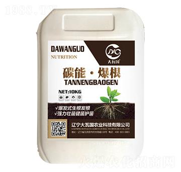 碳能·爆根-大瓦國(guó)農(nóng)業(yè)