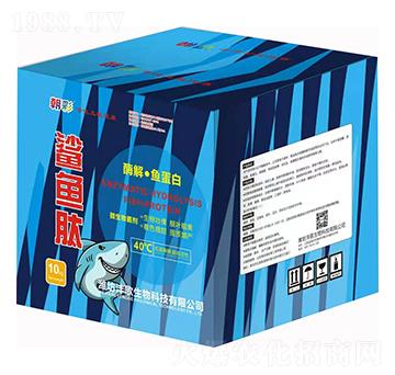 酶解·魚蛋白-鯊魚肽-灃歌生物