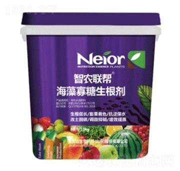 �������������-���_