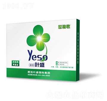 禾谷類(lèi)兩遍金-世勒收-葉盛生物