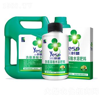 獼猴桃專(zhuān)用含氨基酸水溶肥料-葉盛生物