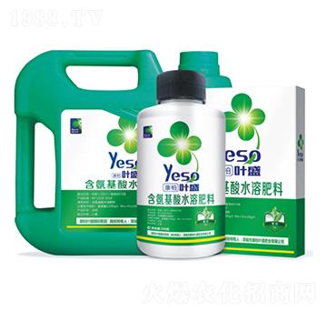 茶葉專(zhuān)用含氨基酸水溶肥料-葉盛生物