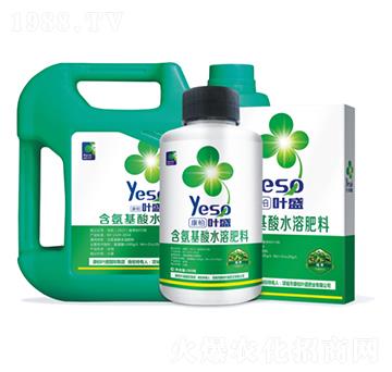 煙草專(zhuān)用含氨基酸水溶肥料-葉盛生物