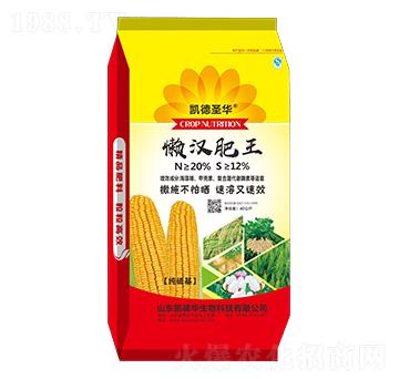 懶漢肥王-凱德圣華-凱德華