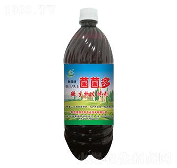 ΢����l(f��)�̈́�-������-�Ɲ��r��