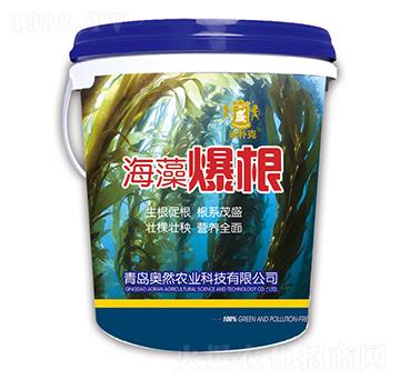 海藻爆根-諾樸克-奧然農(nóng)業(yè)