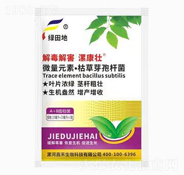 �ⶾ�⺦����-�𿵉�