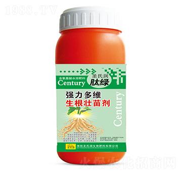 ������S�������焩-ʥ