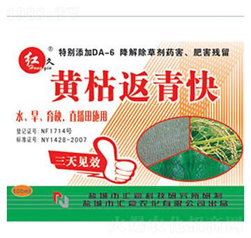 黃枯返青快-匯豪農(nóng)化