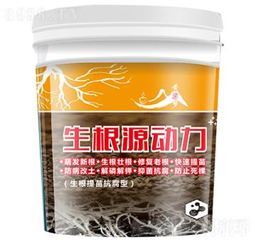 生根源動(dòng)力-黃粱夢-紫州農(nóng)業(yè)