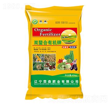 �p�����ЙC(j��)�-��ɭ