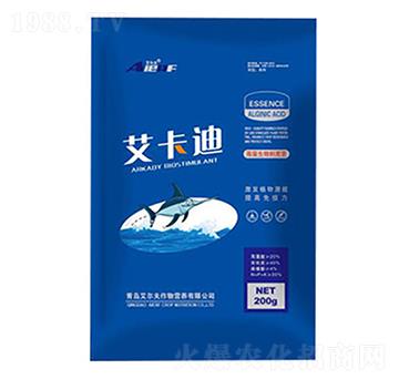 �������L(zh��ng)�̼���-������-������