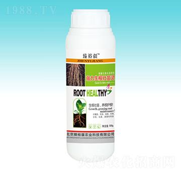 �������������`-��ԣ��