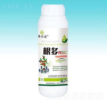 ����-��ԣ��