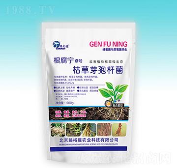 �ݲ�ѿ�ߗU��-������2̖-��ԣ��