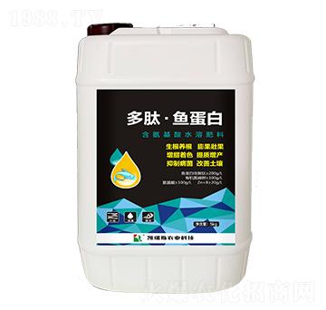 �����~(y��)����-�P��˹