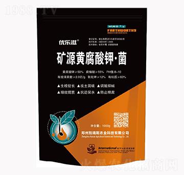 �VԴ�S����⛡���-��(y��u)��(l��)