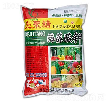 �����Ǻ������-�عڸ�