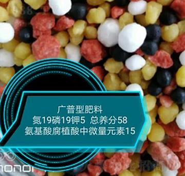 氨基酸腐植酸中微量元素19-19-5-悅農(nóng)農(nóng)業(yè)