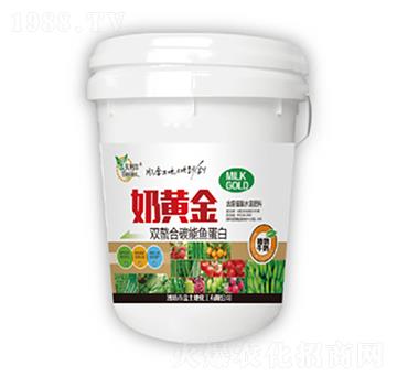 �p����̼���~����-���S��-������