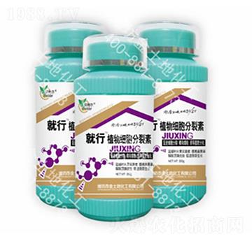 ֲ�：(x��)��������-����-������