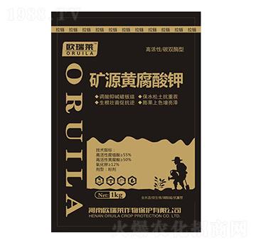 �VԴ�S�����-�W���R