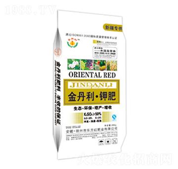 ������⛷�-�|���t