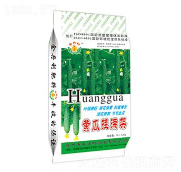 �S�ϒ�M��-�|���t