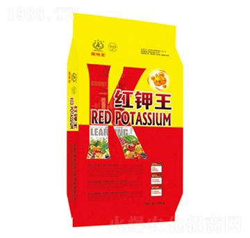 �t���-�|���t