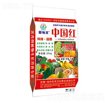 �����-�����-�|���t