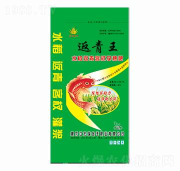 水稻返青柯杈孕穗肥-返青王-宏瑞金豐