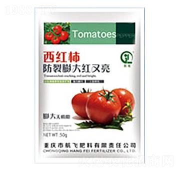 ���t���������t����-���л���