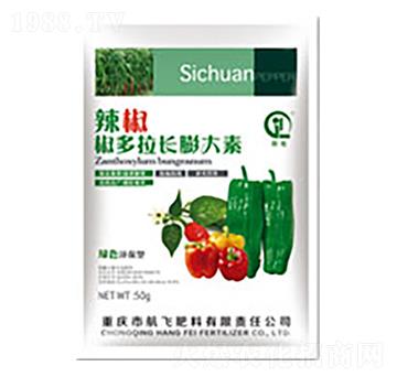 �����������L�����-���л���