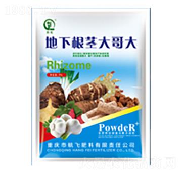 地下根莖大哥大-白市化工